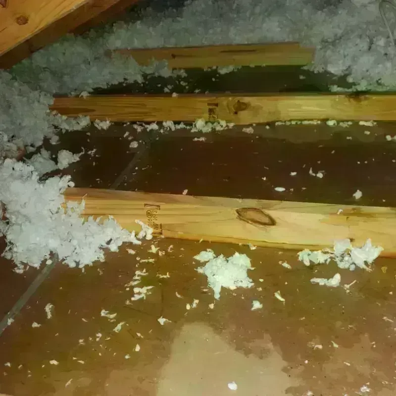 Attic Water Damage in Dixon Lane-Meadow Creek, CA